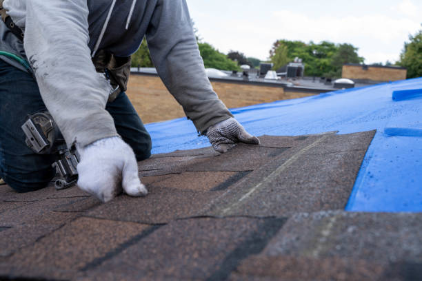 Best Residential Roofing Contractor  in Campton Hls, IL